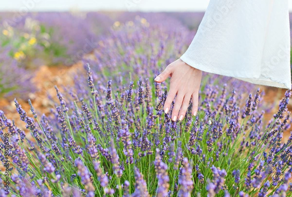 Obraz Hand and lavender