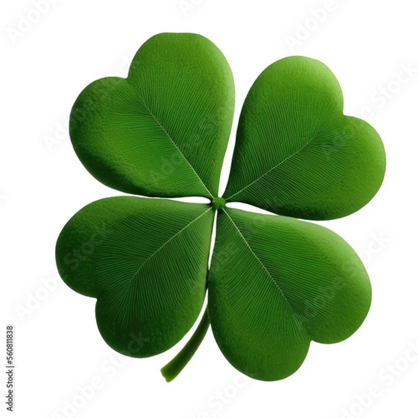 Obraz Four leaf clover isolated on white
