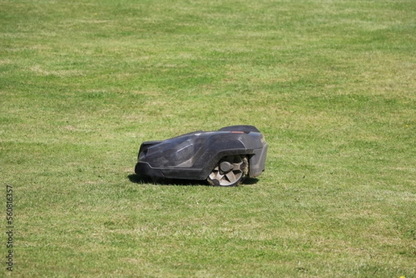 Obraz Making work easier Robotic lawnmower, Sweden