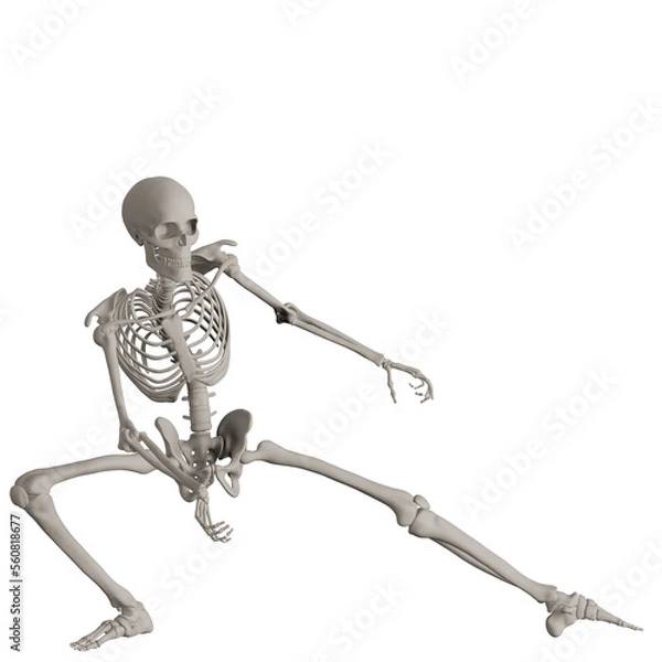 Fototapeta skeleton posing 3d render illustration with transparent background	
