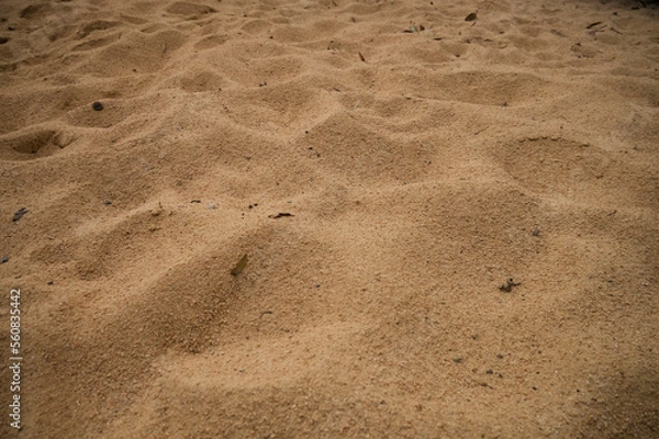 Fototapeta Sand texture background closeup ground