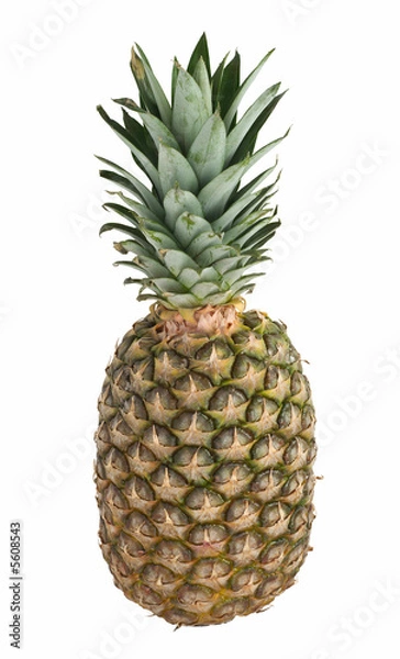 Obraz Pineapple fruit (Ananas comosus) on white with clipping path