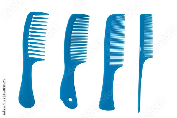 Obraz Blue combs