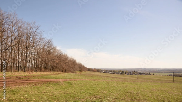 Obraz landscape with a fence