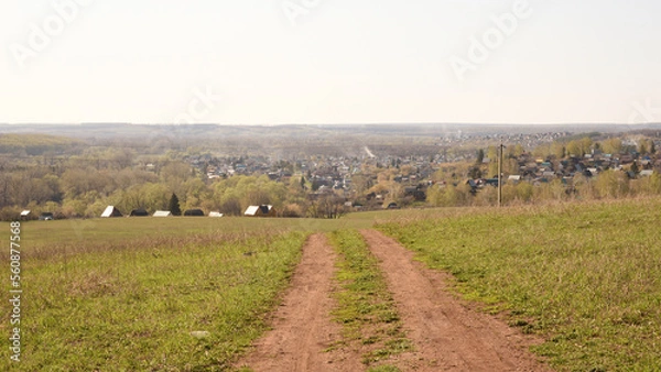Obraz landscape with a field and trees
