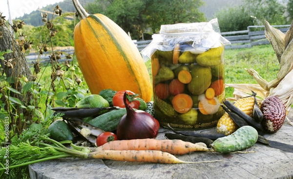 Fototapeta cucumber pickles