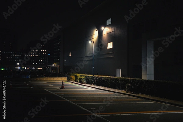 Obraz 범의 가로등 켜진 풍경