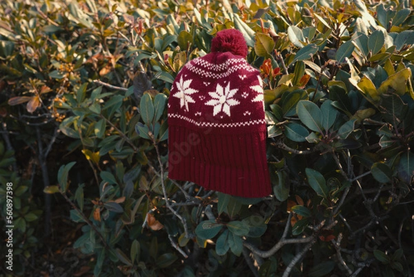 Obraz 잎에 걸려있는 털모자