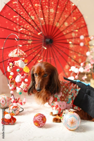 Obraz ドイツダックス