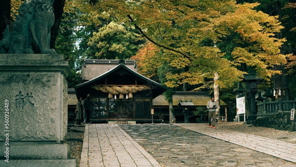 Obraz 神社