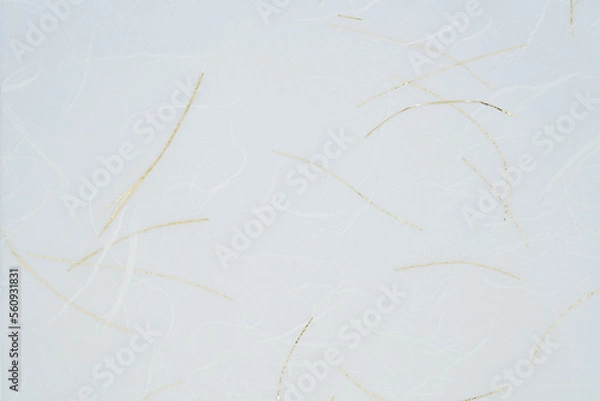 Fototapeta 透かし和紙の背景テクスチャ　白　金糸