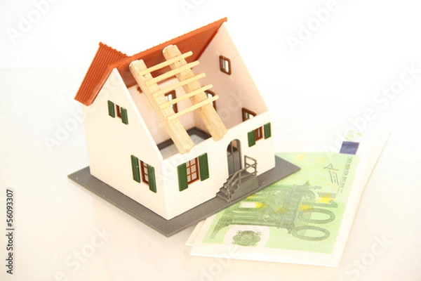 Obraz finance maison