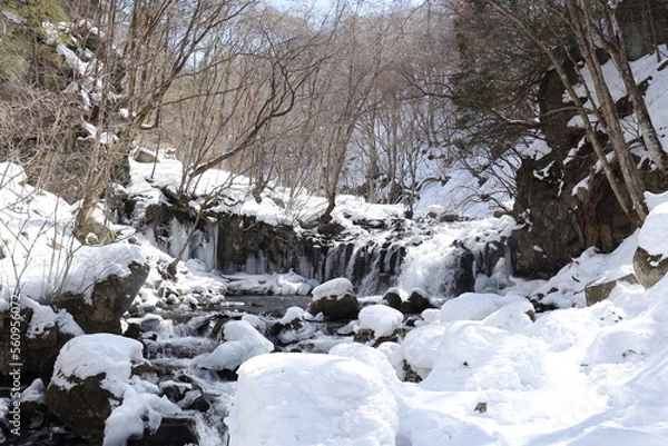 Fototapeta 冬の滝-1