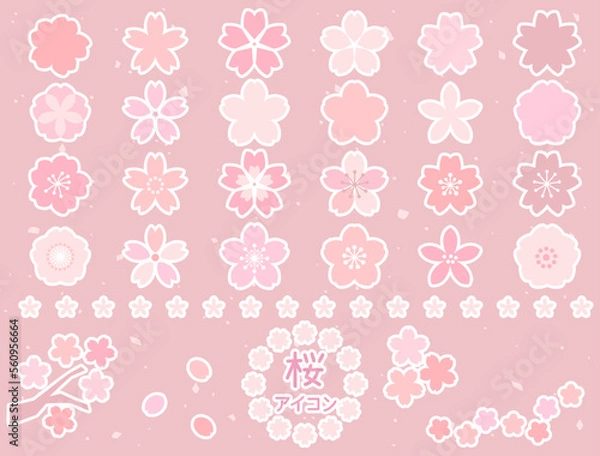 Fototapeta 桜の花のアイコンのイラストのセット 白フチ付きバージョン
