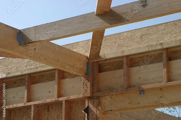 Obraz ossature bois 3