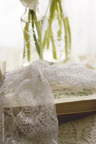 Obraz old white lace