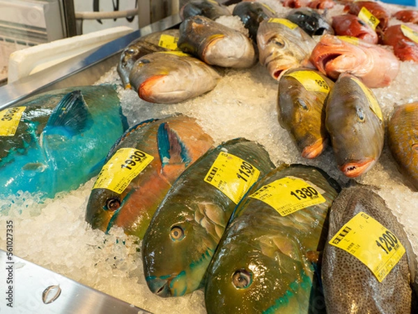 Obraz 泊いゆまちで売られている魚