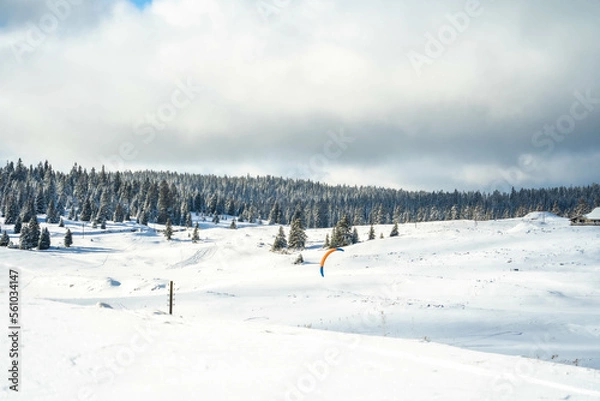 Obraz swiss snow scene