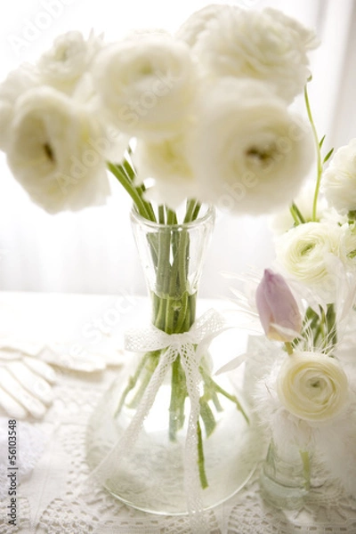 Obraz white buttercups