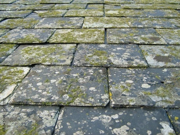 Obraz Old Slate Roof