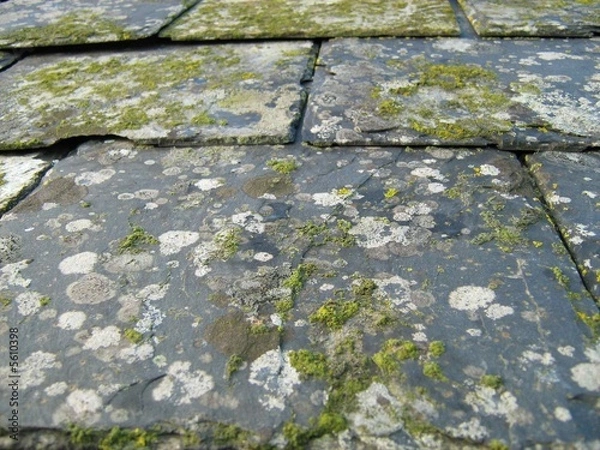 Obraz Slate roof