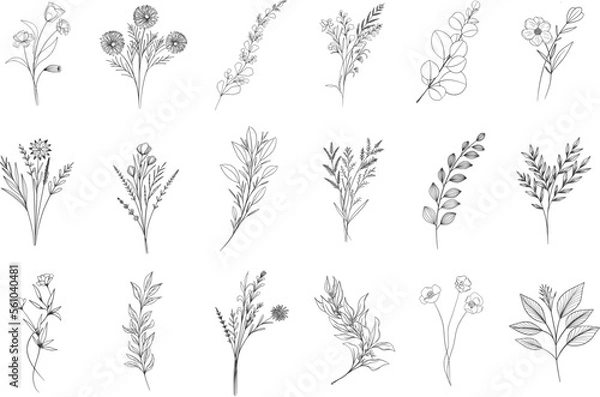 Obraz Hand drawn floral herbs set elements