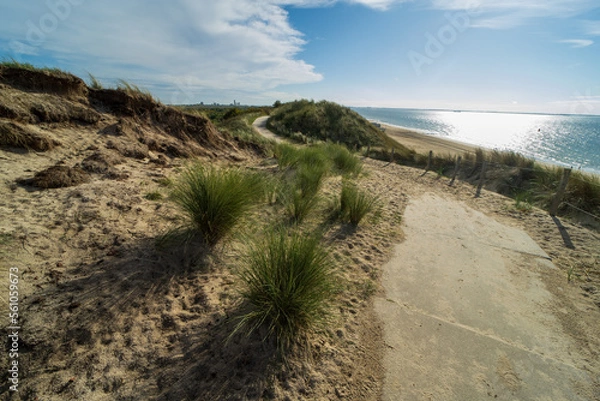 Fototapeta Walking path through the dunes near Vlissingen