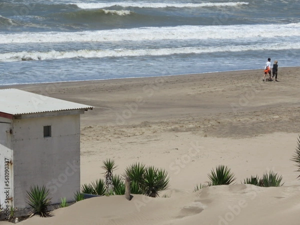 Obraz Mar de las Pampas Argentina