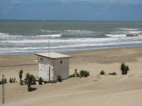 Obraz Mar de las Pampas Argentina