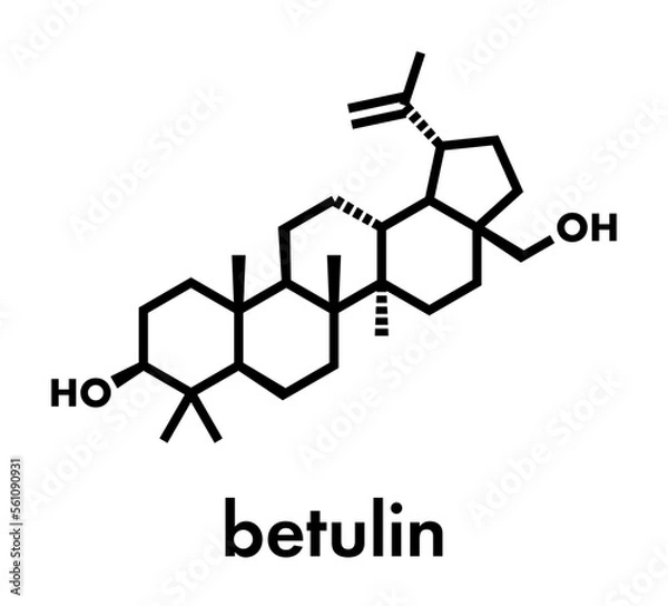 Fototapeta Betulin drug molecule. Isolated from birch tree bark. Skeletal formula.