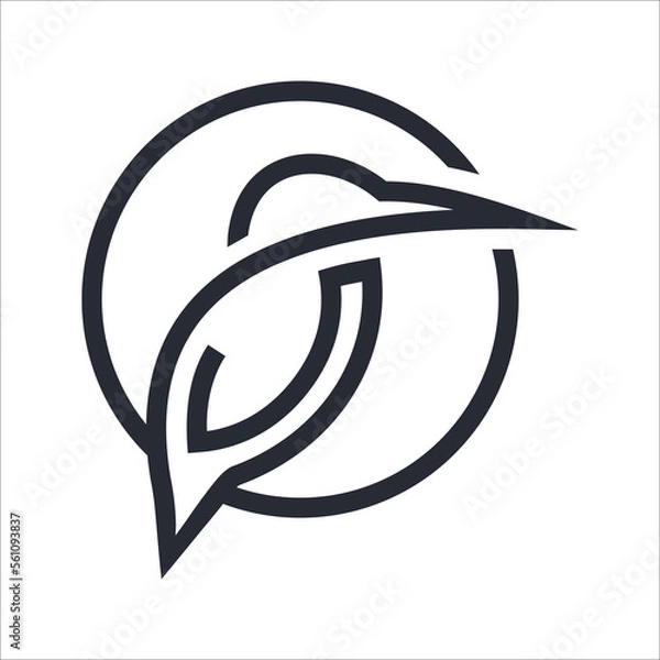 Obraz Vector kingfishers bird (Alcedo atthis) on white background. Bird Design. Kingfishers logo or icon.