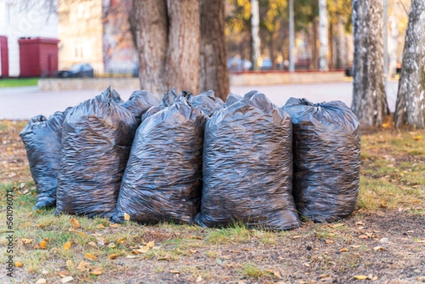 Obraz Bags of leaves and trash. Garbage collection