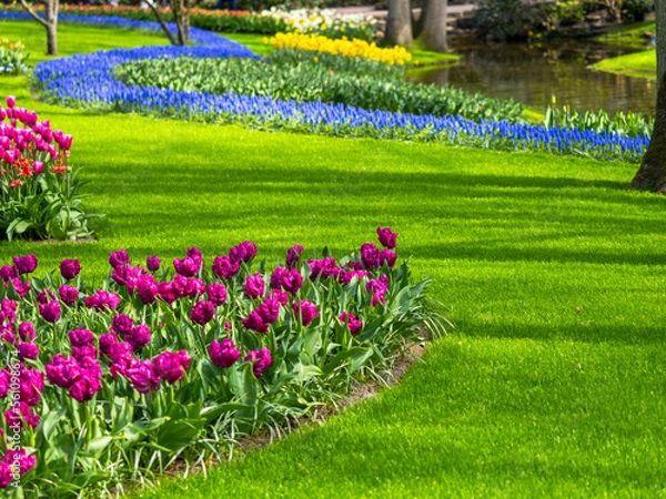 Obraz Landscape in Keukenhof garden, Holland