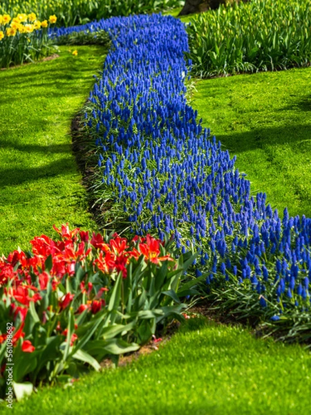 Obraz Landscape in Keukenhof garden, Holland