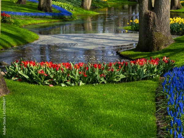 Obraz Landscape in Keukenhof garden, Holland