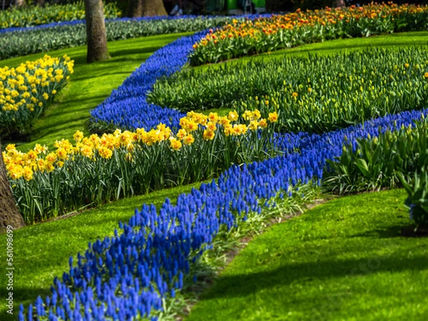 Obraz Landscape in Keukenhof garden, Holland