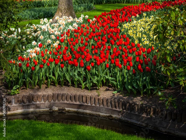 Obraz Landscape in Keukenhof garden , Holland