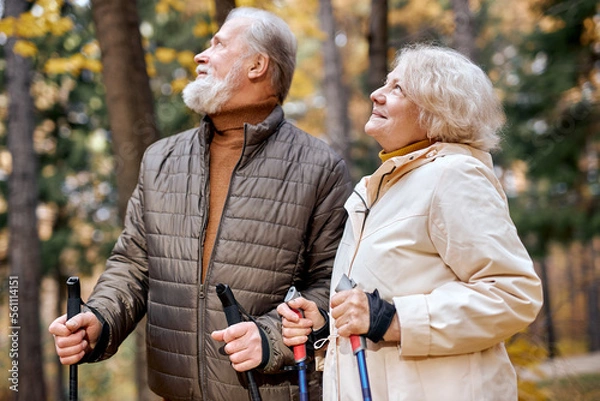 Fototapeta Elderly couple having fun while walking together in park. romantic senior couple resting, relaxing in nature . Happiness people lifestyle. Happy elderly couple in love engaged in Nordic walking