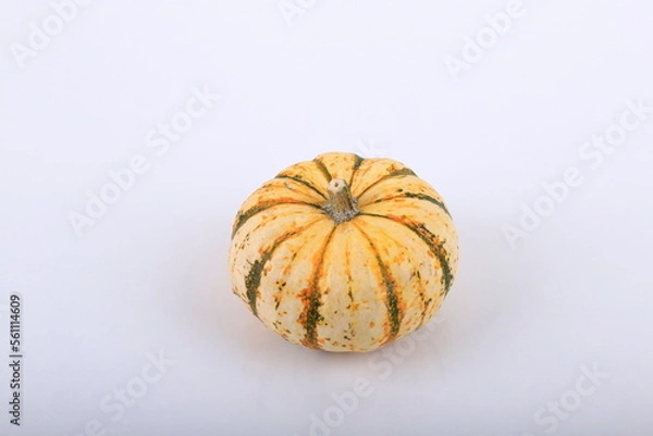 Fototapeta Mini Pumpkin composition.
A view on a white background.