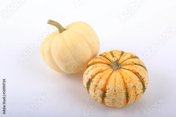 Fototapeta Mini Pumpkin composition.
A view on a white background.