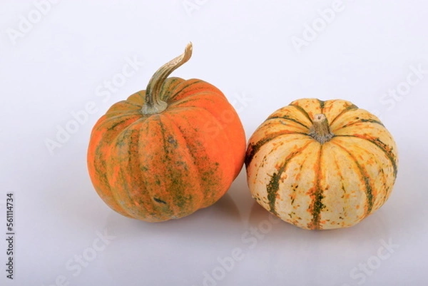 Fototapeta Mini Pumpkin composition.
A view on a white background.