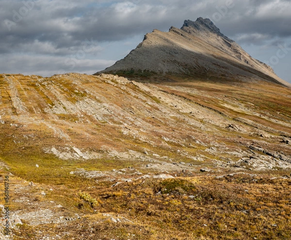 Obraz Wilcox ridge trail, Banff NP Canada