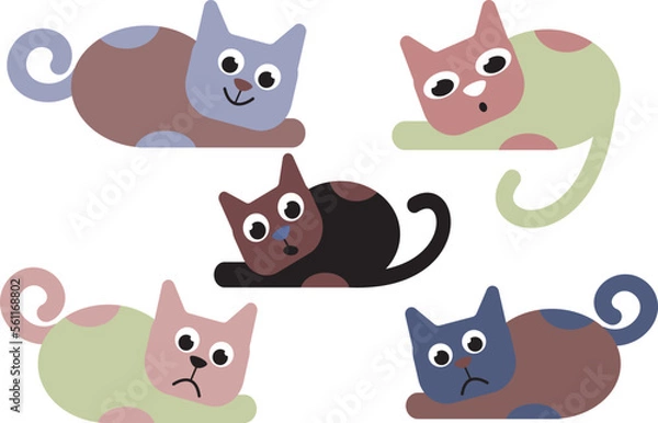 Fototapeta A set of cats of different colors.