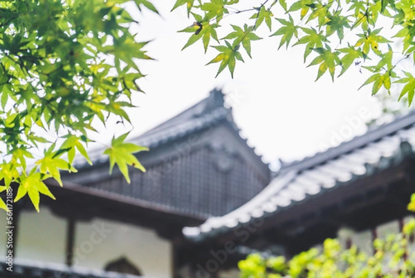 Obraz 日本の伝統的な建物と木々