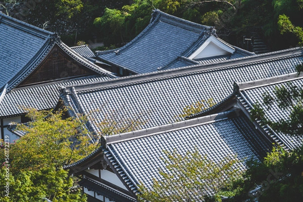 Obraz 日本の伝統的な建物と木々