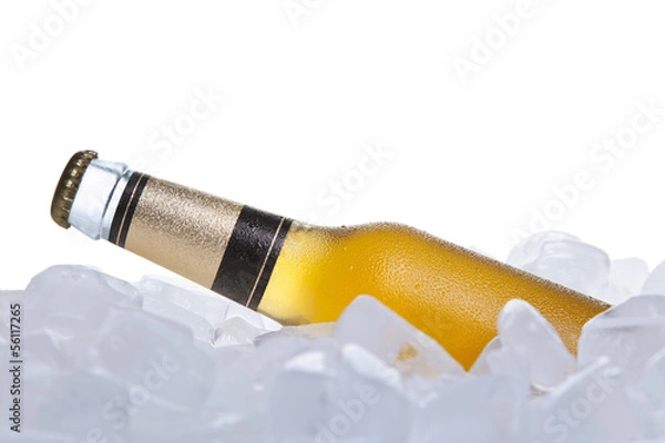 Obraz The cooler beer