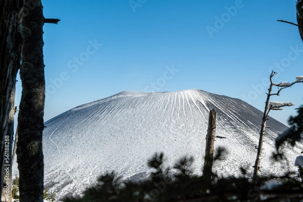 Obraz 外輪山からの冠雪した浅間山