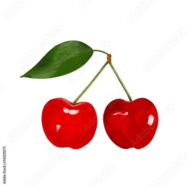 Obraz Two red cherries with a leaf separately on a white background, digital drawing.