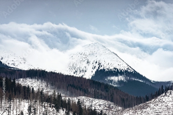 Obraz Mountain in the clouds