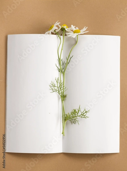 Fototapeta notepad with flower